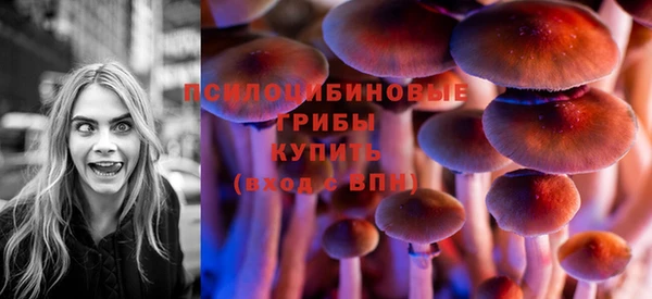 мдпв Навашино