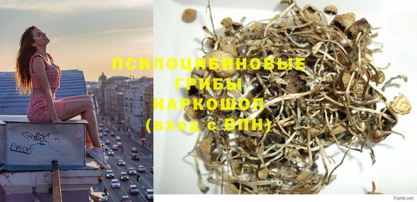 мдпв Навашино
